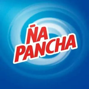ÑAPANCHA MULTIUSOS SURTIDO 900ML